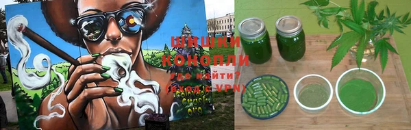 сатива Семикаракорск